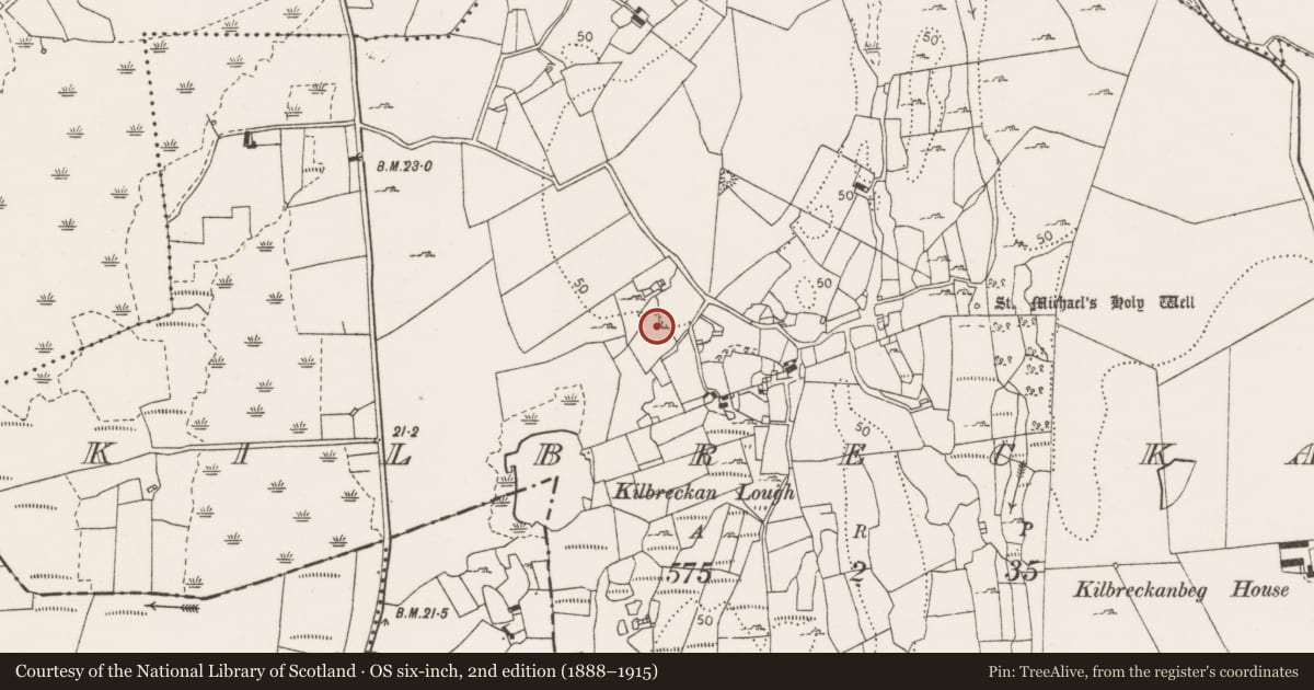 Ordnance Survey six-inch map, 2nd edition (1888–1915) covering the location of Structure, Kilbreckan, County Clare, with a pin at the register's coordinates