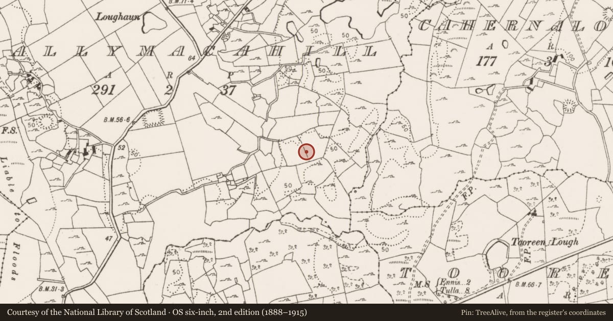 Ordnance Survey six-inch map, 2nd edition (1888–1915) covering the location of Excavation - miscellaneous, Ballymacahill, County Clare, with a pin at the register's coordinates