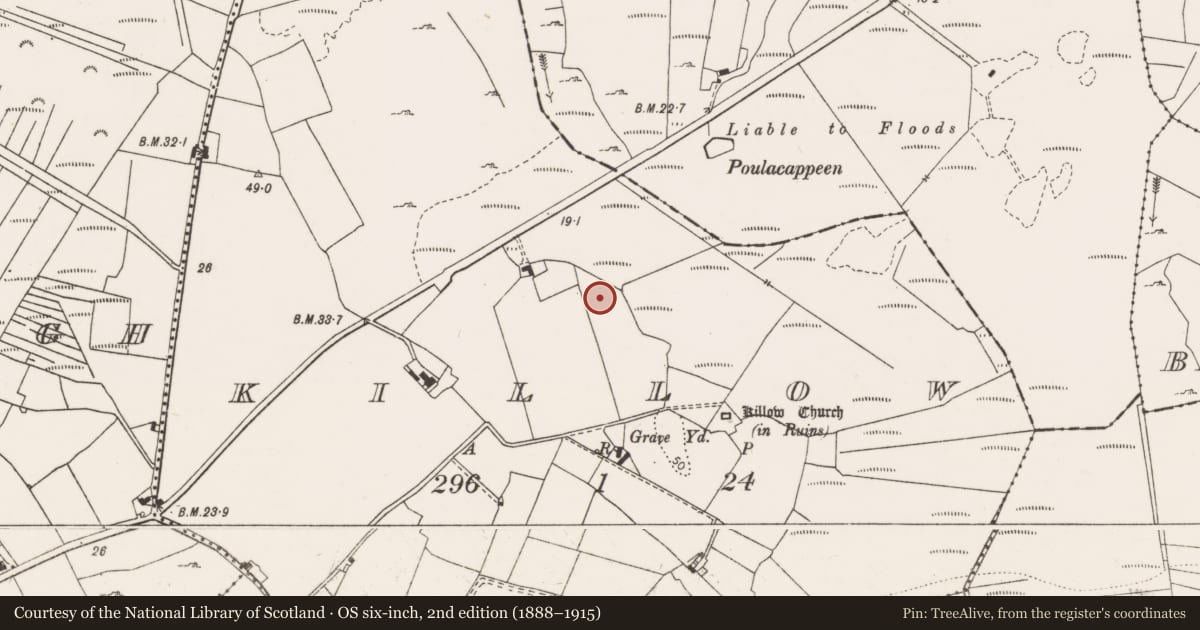 Ordnance Survey six-inch map, 2nd edition (1888–1915) covering the location of Enclosure, Killow, County Clare, with a pin at the register's coordinates