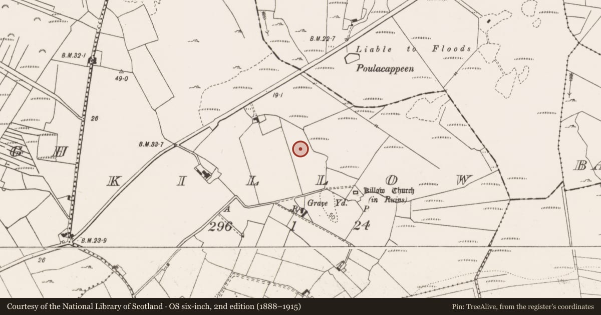 Ordnance Survey six-inch map, 2nd edition (1888–1915) covering the location of Excavation - miscellaneous, Killow, County Clare, with a pin at the register's coordinates