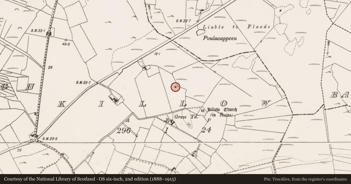 Ordnance Survey six-inch map, 2nd edition (1888–1915) covering the location of Burnt mound, Killow, County Clare, with a pin at the register's coordinates