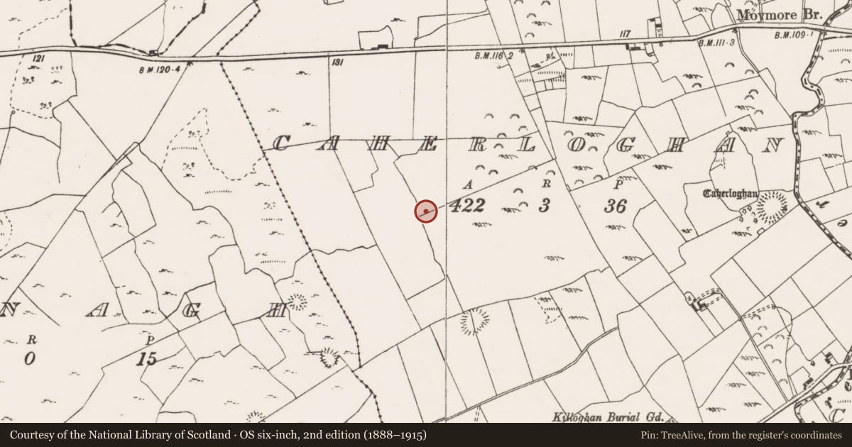 Ordnance Survey six-inch map, 2nd edition (1888–1915) covering the location of Burnt mound, Caherloghan, County Clare, with a pin at the register's coordinates