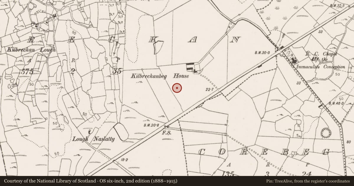 Ordnance Survey six-inch map, 2nd edition (1888–1915) covering the location of Ringfort - rath, Kilbreckan, County Clare, with a pin at the register's coordinates