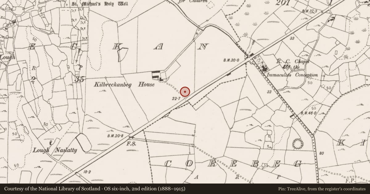 Ordnance Survey six-inch map, 2nd edition (1888–1915) covering the location of Enclosure - large enclosure, Kilbreckan, County Clare, with a pin at the register's coordinates