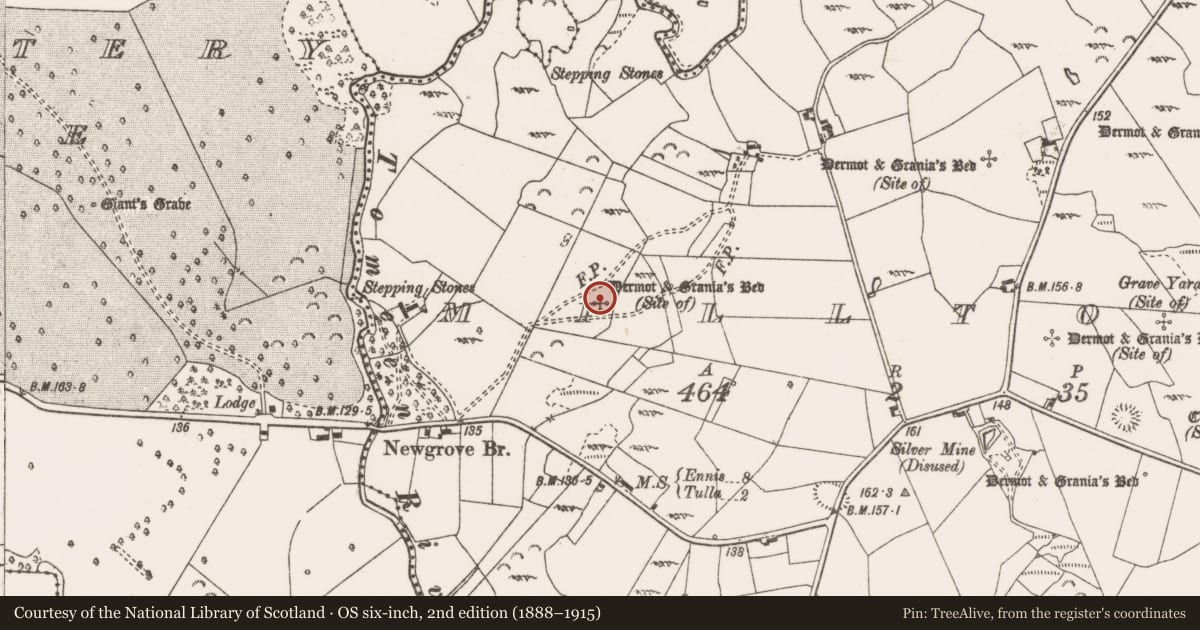 Ordnance Survey six-inch map, 2nd edition (1888–1915) covering the location of Cist, Milltown, County Clare, with a pin at the register's coordinates