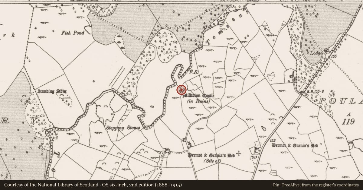 Ordnance Survey six-inch map, 2nd edition (1888–1915) covering the location of Castle - tower house, Milltown, County Clare, with a pin at the register's coordinates
