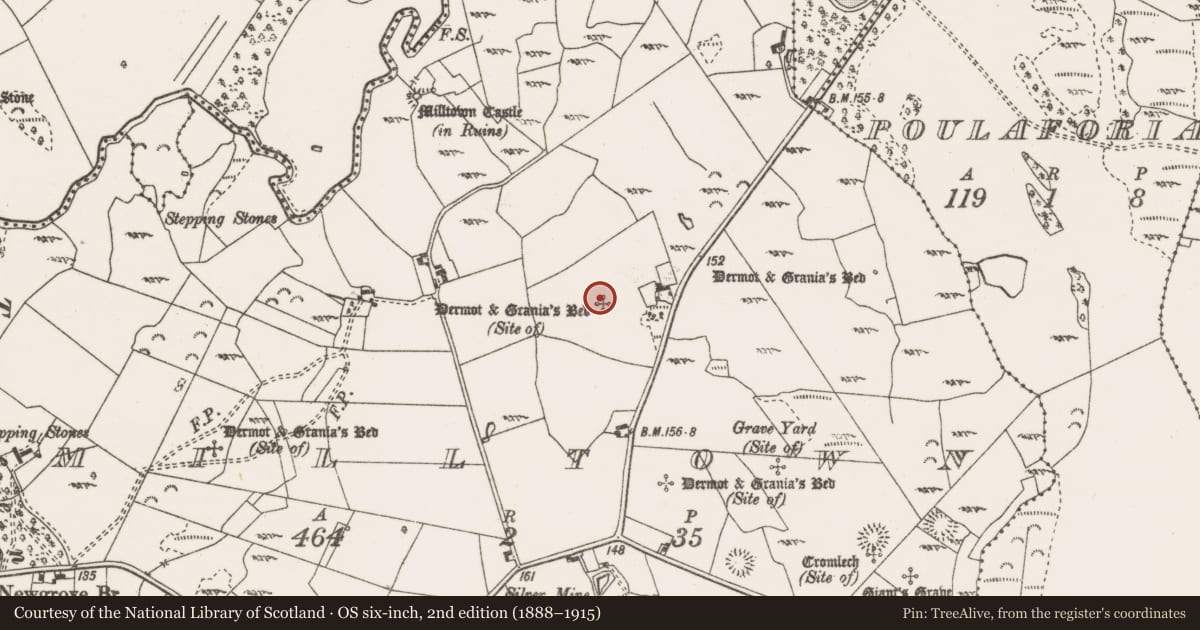 Ordnance Survey six-inch map, 2nd edition (1888–1915) covering the location of Megalithic tomb - wedge tomb, Milltown, County Clare, with a pin at the register's coordinates