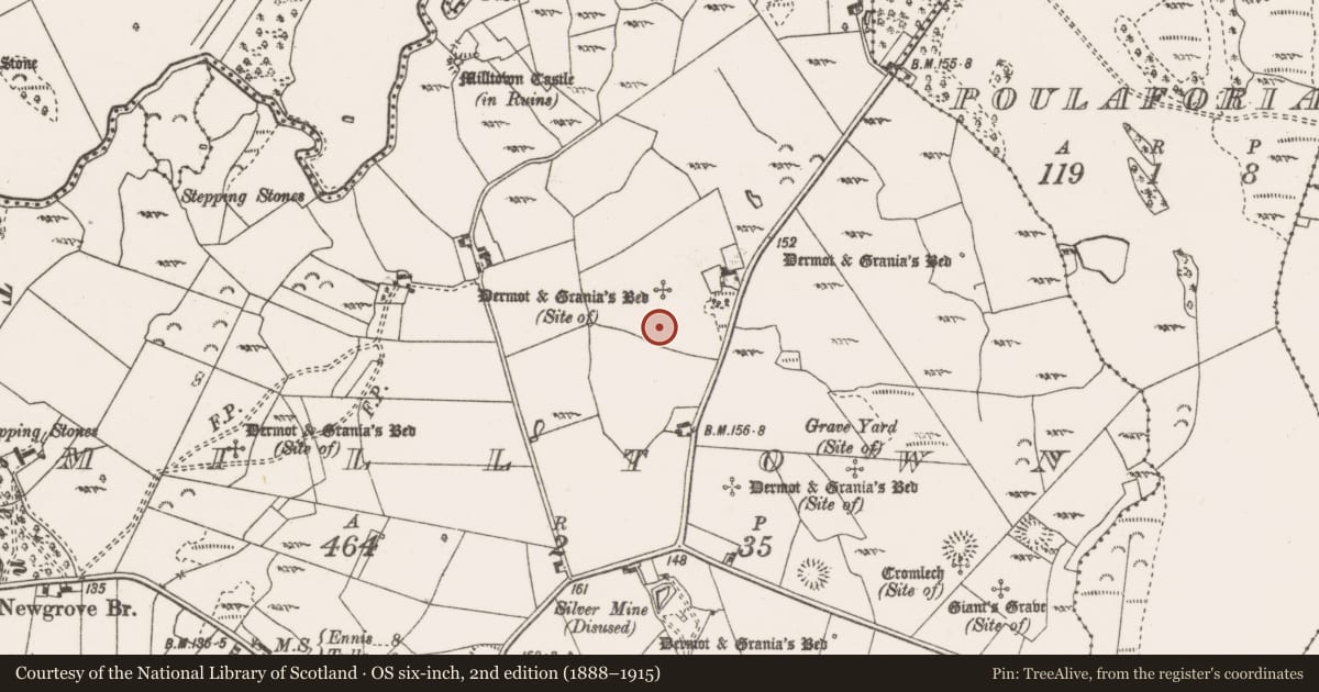 Ordnance Survey six-inch map, 2nd edition (1888–1915) covering the location of Megalithic tomb - wedge tomb, Milltown, County Clare, with a pin at the register's coordinates