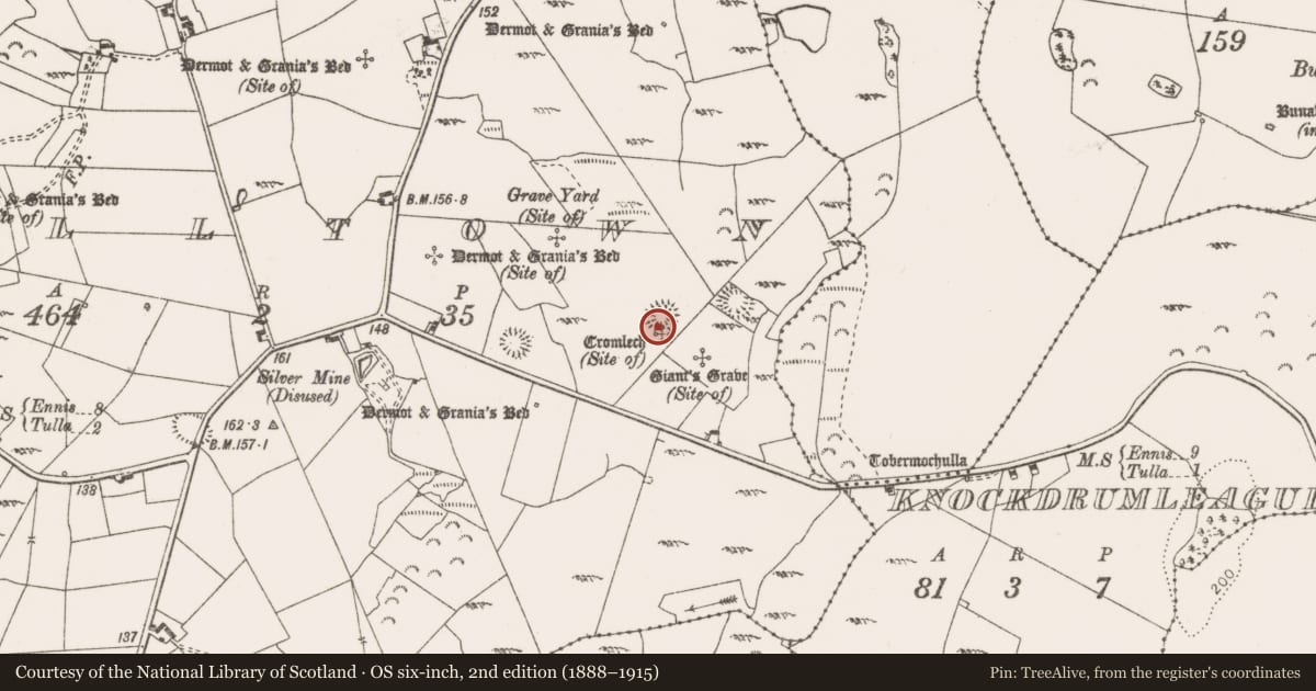 Ordnance Survey six-inch map, 2nd edition (1888–1915) covering the location of Megalithic structure, Milltown, County Clare, with a pin at the register's coordinates
