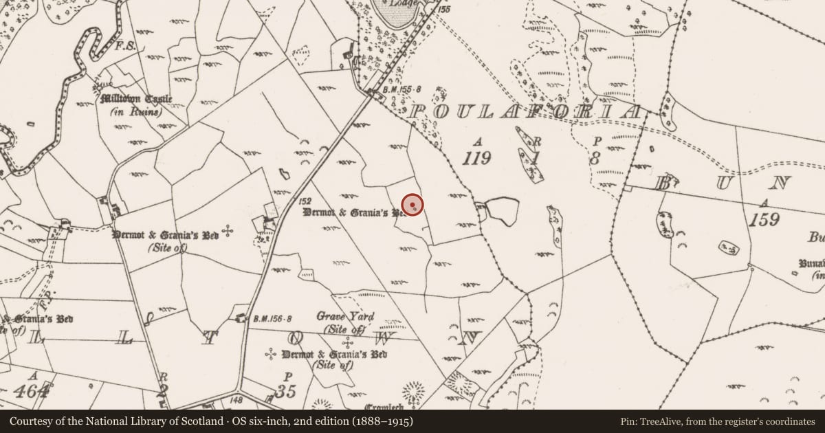 Ordnance Survey six-inch map, 2nd edition (1888–1915) covering the location of Cist, Milltown, County Clare, with a pin at the register's coordinates