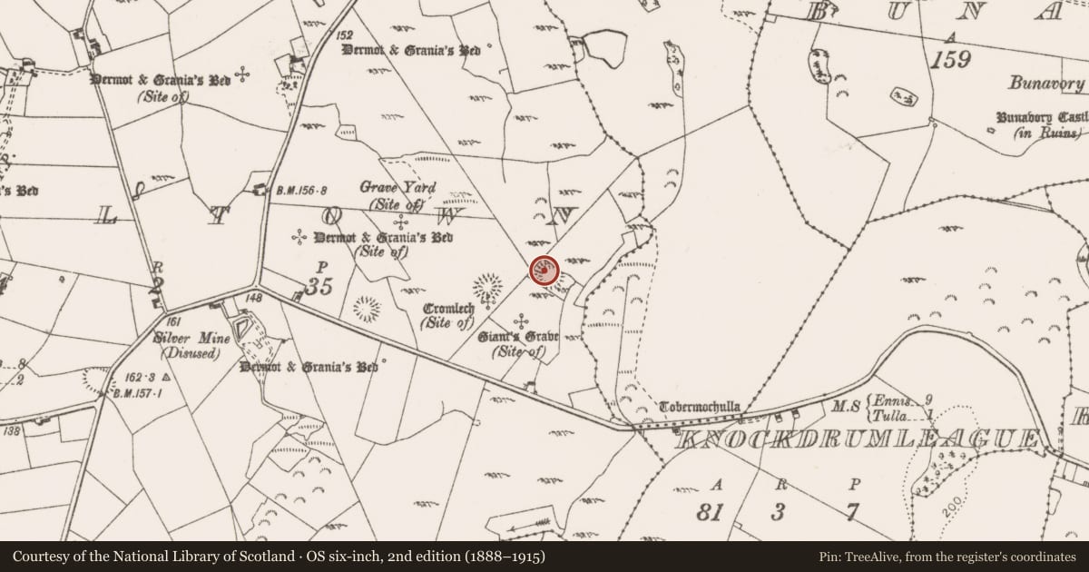 Ordnance Survey six-inch map, 2nd edition (1888–1915) covering the location of Enclosure, Milltown, County Clare, with a pin at the register's coordinates