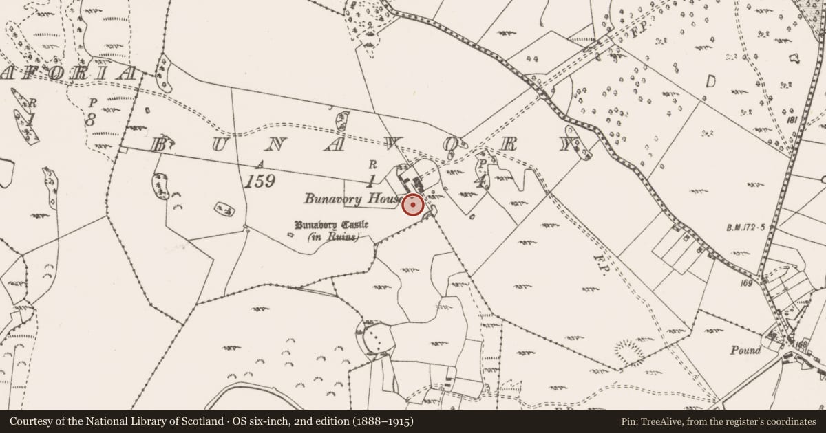 Ordnance Survey six-inch map, 2nd edition (1888–1915) covering the location of Enclosure, Bunavory, County Clare, with a pin at the register's coordinates