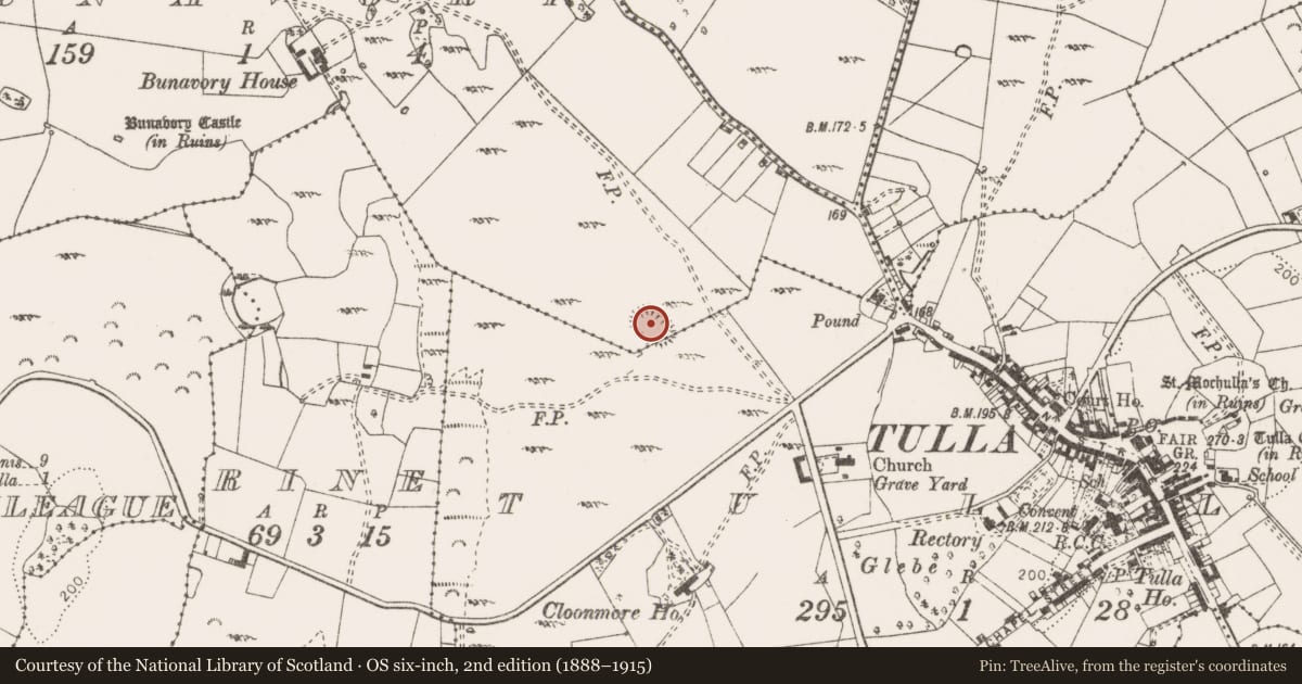Ordnance Survey six-inch map, 2nd edition (1888–1915) covering the location of Enclosure, Tulla, Bunavory, County Clare, with a pin at the register's coordinates