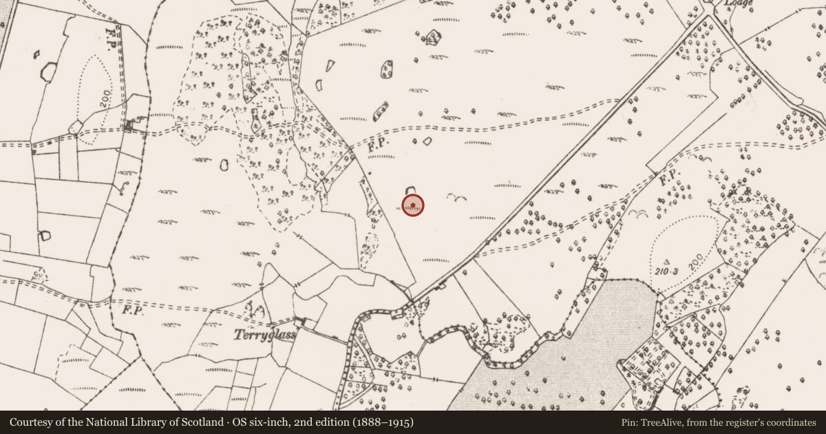 Ordnance Survey six-inch map, 2nd edition (1888–1915) covering the location of Megalithic structure, Clogher, County Clare, with a pin at the register's coordinates