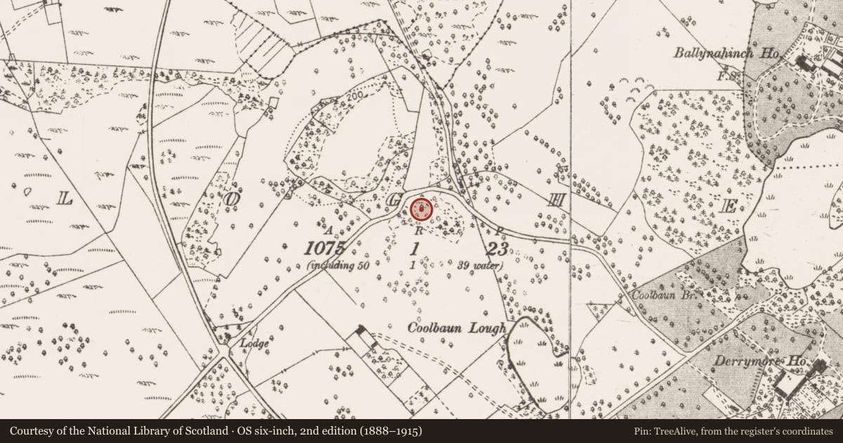 Ordnance Survey six-inch map, 2nd edition (1888–1915) covering the location of Megalithic tomb - portal tomb, Clogher, County Clare, with a pin at the register's coordinates