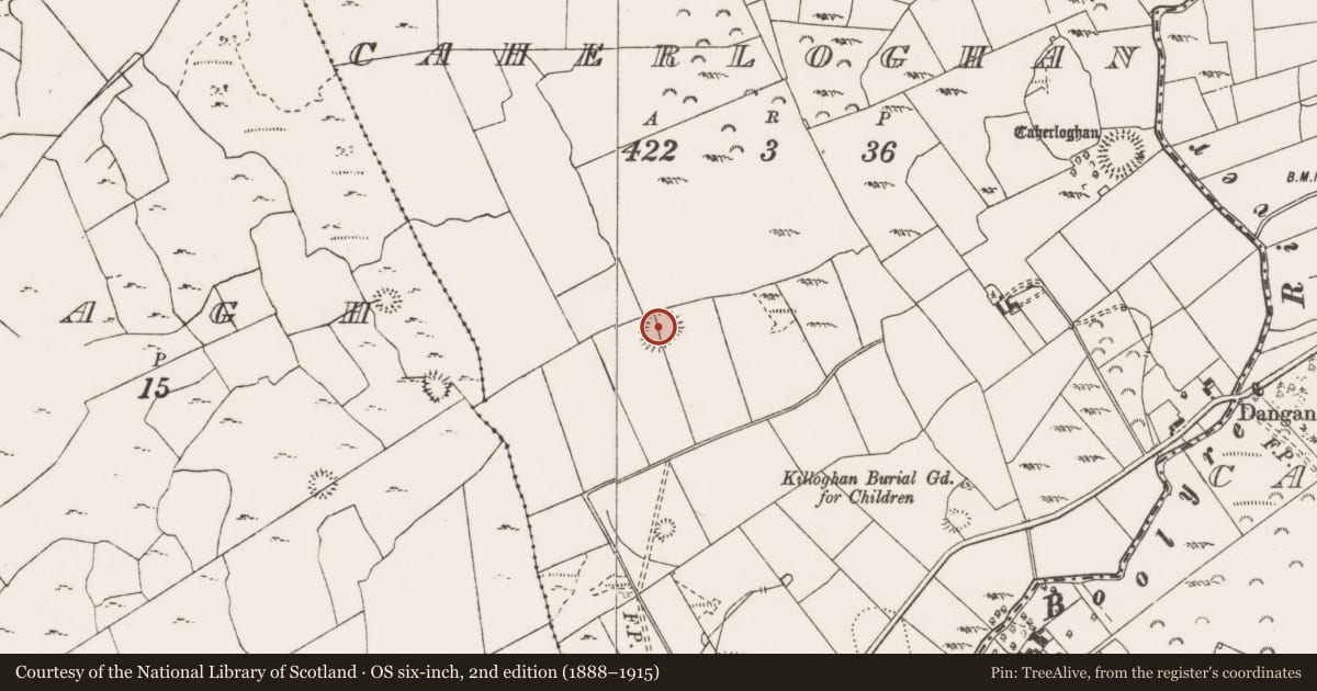 Ordnance Survey six-inch map, 2nd edition (1888–1915) covering the location of Enclosure, Caherloghan, County Clare, with a pin at the register's coordinates