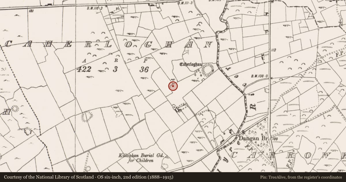 Ordnance Survey six-inch map, 2nd edition (1888–1915) covering the location of Enclosure, Caherloghan, County Clare, with a pin at the register's coordinates