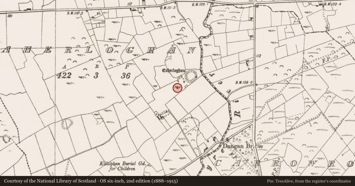 Ordnance Survey six-inch map, 2nd edition (1888–1915) covering the location of Enclosure, Caherloghan, County Clare, with a pin at the register's coordinates
