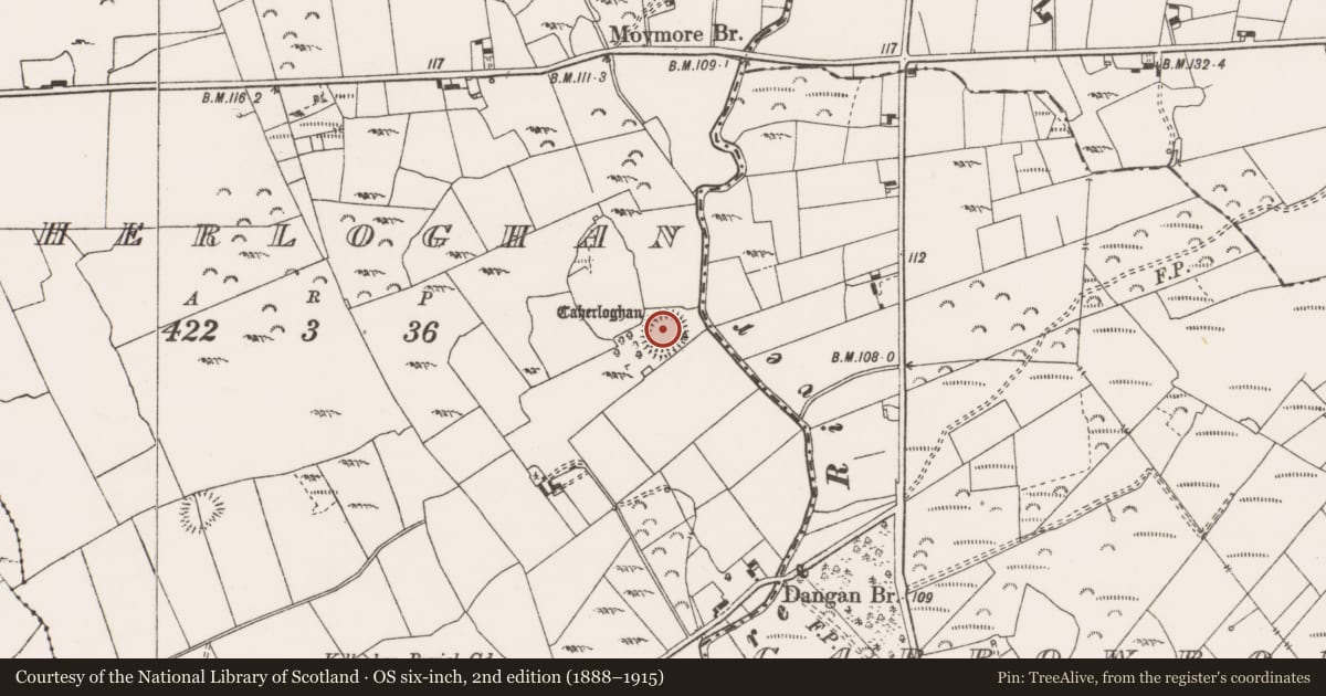Ordnance Survey six-inch map, 2nd edition (1888–1915) covering the location of Ringfort - cashel, Caherloghan, County Clare, with a pin at the register's coordinates