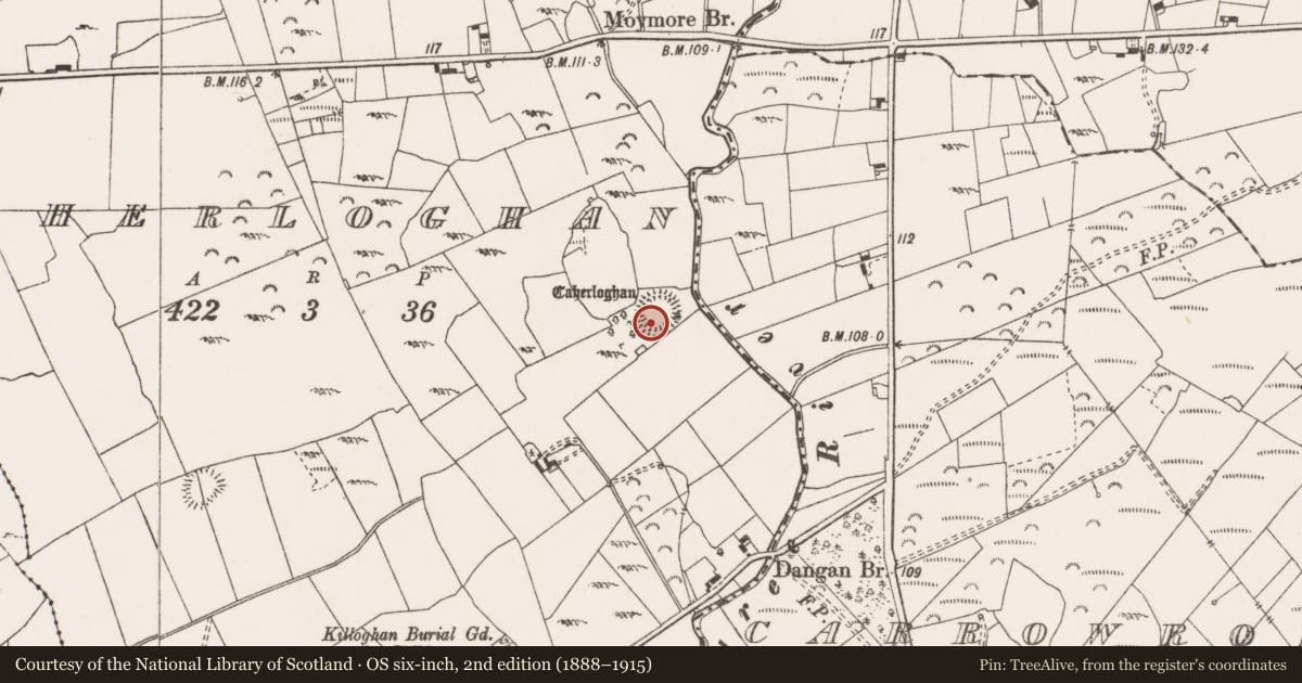 Ordnance Survey six-inch map, 2nd edition (1888–1915) covering the location of Hut site, Caherloghan, County Clare, with a pin at the register's coordinates