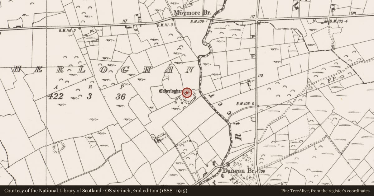 Ordnance Survey six-inch map, 2nd edition (1888–1915) covering the location of Hut site, Caherloghan, County Clare, with a pin at the register's coordinates