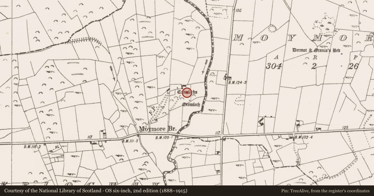 Ordnance Survey six-inch map, 2nd edition (1888–1915) covering the location of Megalithic structure, Caherloghan, County Clare, with a pin at the register's coordinates