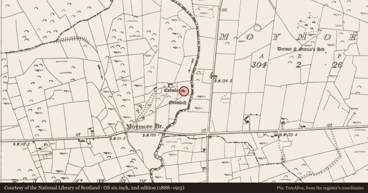 Ordnance Survey six-inch map, 2nd edition (1888–1915) covering the location of Megalithic structure, Caherloghan, County Clare, with a pin at the register's coordinates