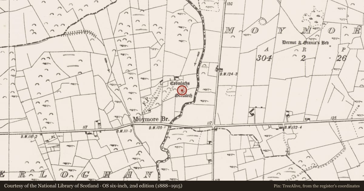 Ordnance Survey six-inch map, 2nd edition (1888–1915) covering the location of Megalithic structure, Caherloghan, County Clare, with a pin at the register's coordinates