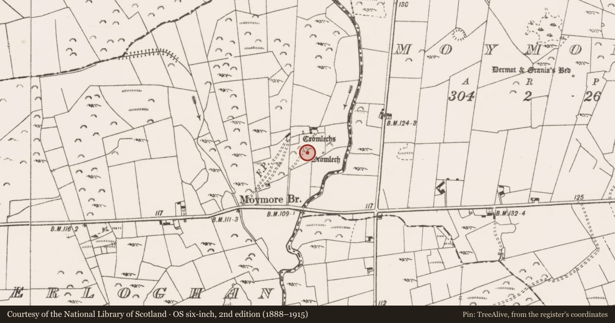 Ordnance Survey six-inch map, 2nd edition (1888–1915) covering the location of Cairn - unclassified, Caherloghan, County Clare, with a pin at the register's coordinates