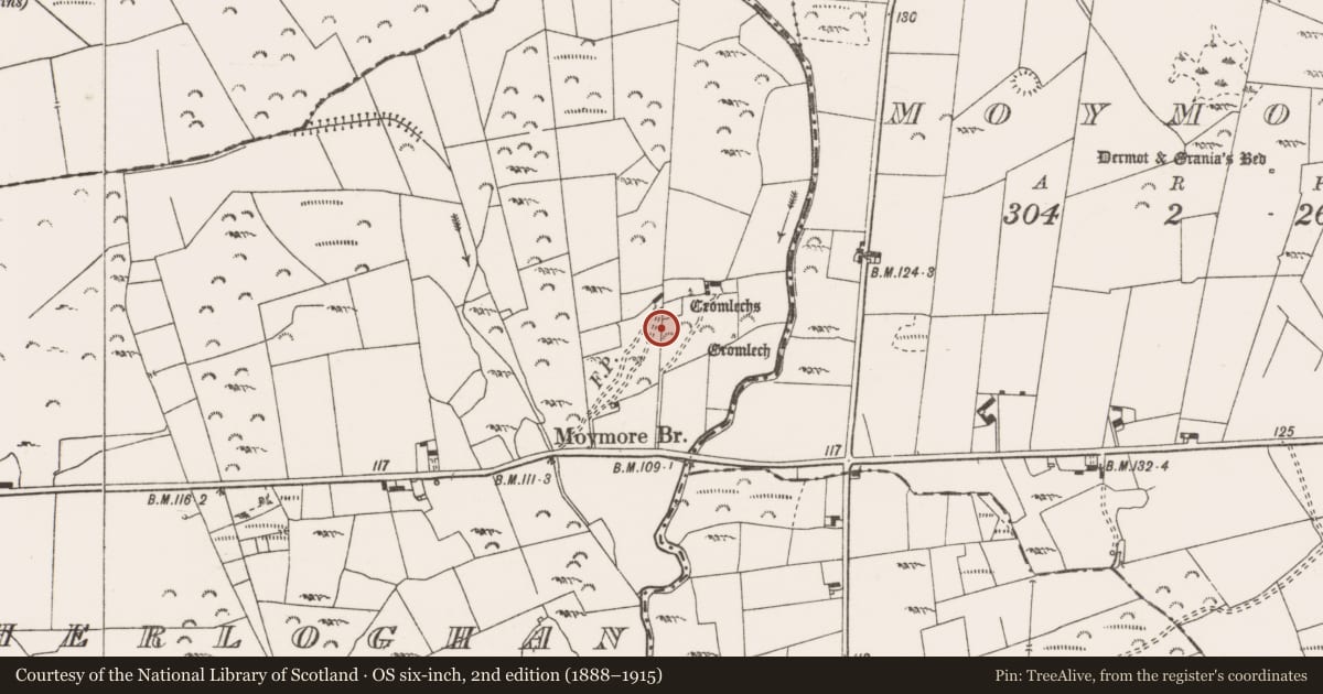 Ordnance Survey six-inch map, 2nd edition (1888–1915) covering the location of Megalithic structure, Caherloghan, County Clare, with a pin at the register's coordinates