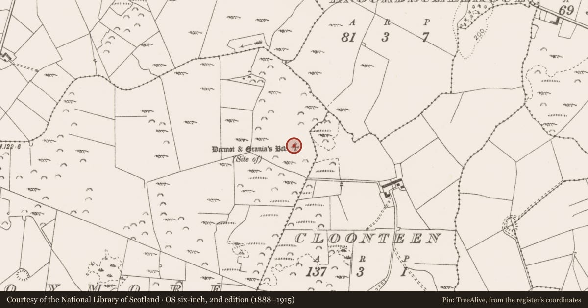 Ordnance Survey six-inch map, 2nd edition (1888–1915) covering the location of Megalithic structure, Moymore, County Clare, with a pin at the register's coordinates
