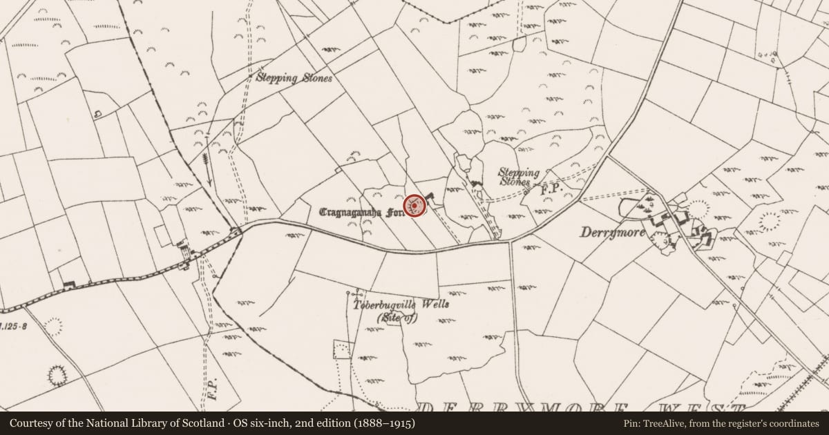 Ordnance Survey six-inch map, 2nd edition (1888–1915) covering the location of Ringfort - cashel, Derrymore West, County Clare, with a pin at the register's coordinates
