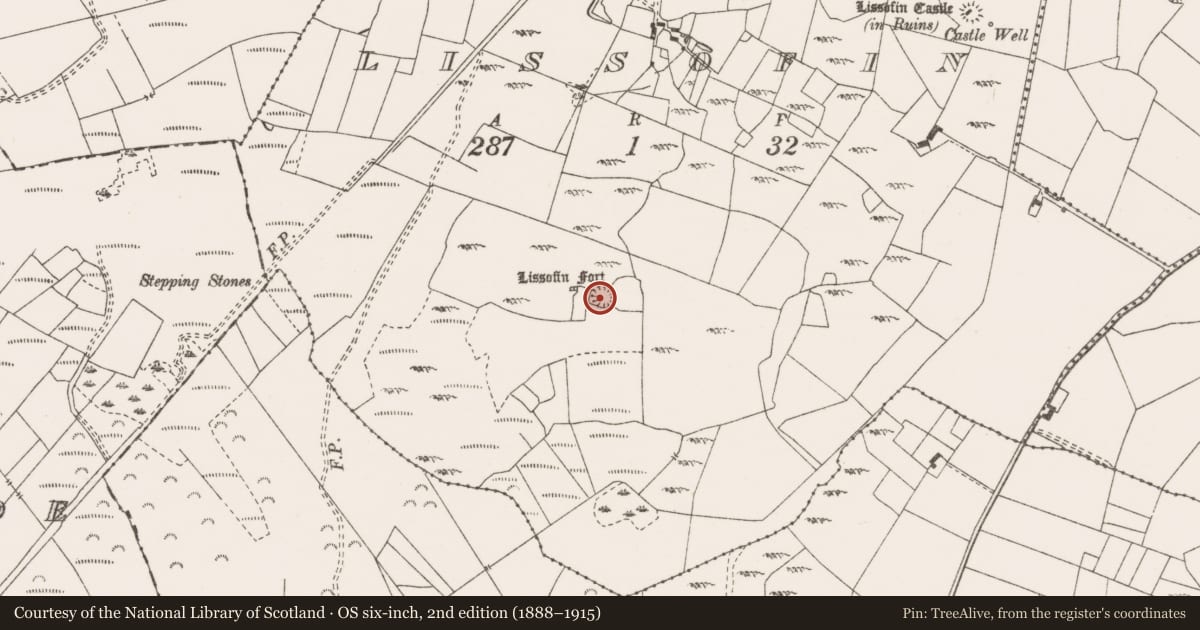 Ordnance Survey six-inch map, 2nd edition (1888–1915) covering the location of Ringfort - cashel, Lissofin, County Clare, with a pin at the register's coordinates