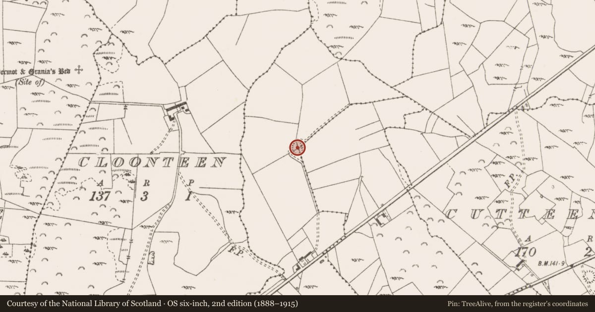 Ordnance Survey six-inch map, 2nd edition (1888–1915) covering the location of Enclosure, Cutteen Beg, Lissofin, County Clare, with a pin at the register's coordinates