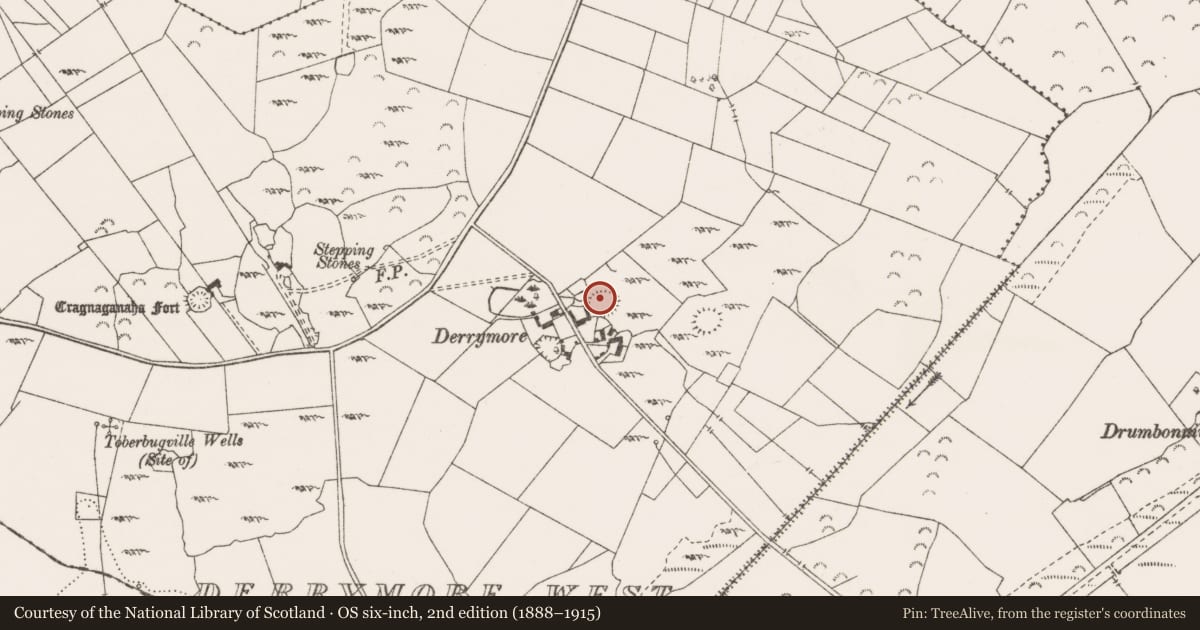 Ordnance Survey six-inch map, 2nd edition (1888–1915) covering the location of Enclosure, Derrymore West, County Clare, with a pin at the register's coordinates