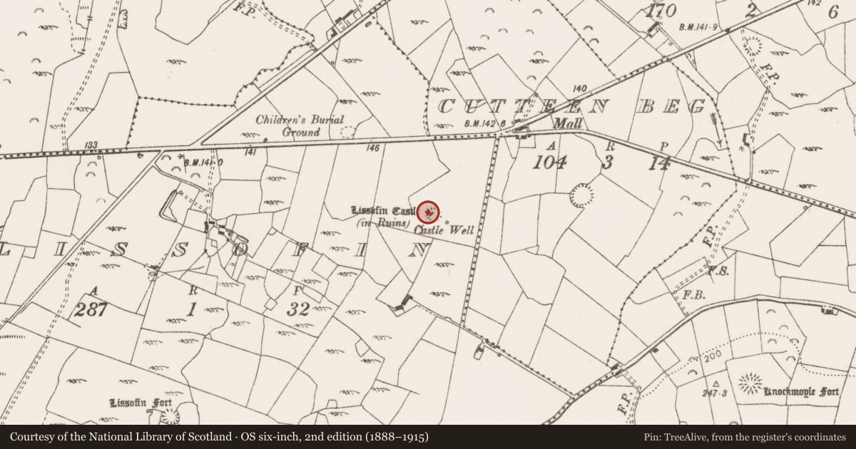 Ordnance Survey six-inch map, 2nd edition (1888–1915) covering the location of Castle - unclassified, Lissofin, County Clare, with a pin at the register's coordinates