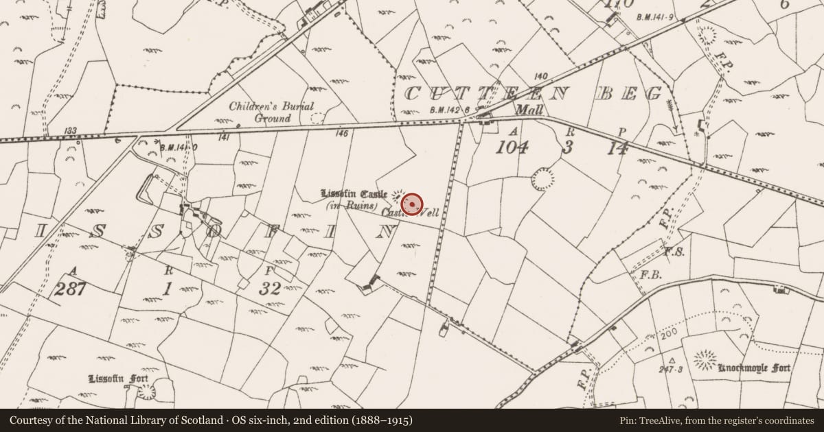Ordnance Survey six-inch map, 2nd edition (1888–1915) covering the location of Well, Lissofin, County Clare, with a pin at the register's coordinates