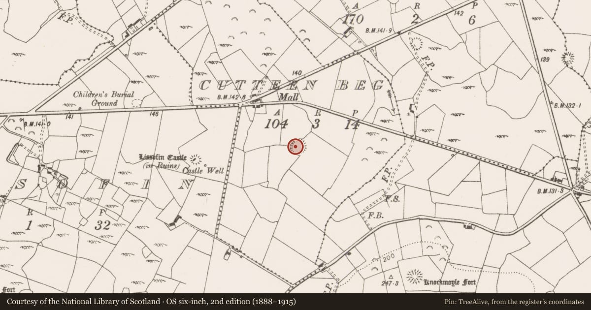 Ordnance Survey six-inch map, 2nd edition (1888–1915) covering the location of Ringfort - rath, Cutteen Beg, County Clare, with a pin at the register's coordinates