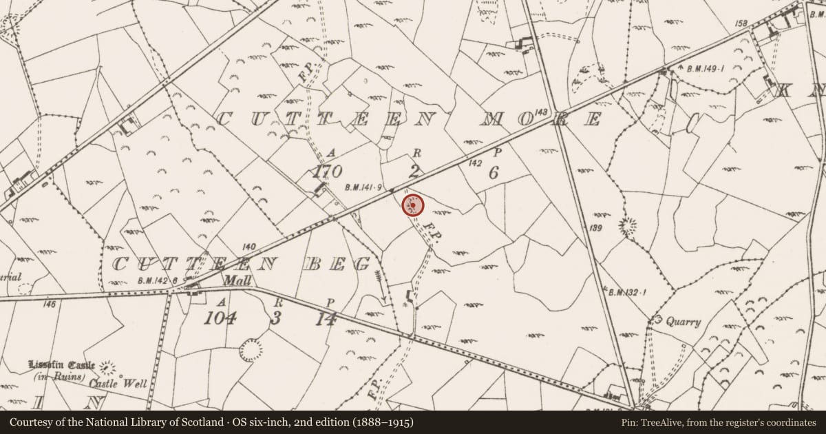 Ordnance Survey six-inch map, 2nd edition (1888–1915) covering the location of Enclosure, Cutteen More, County Clare, with a pin at the register's coordinates