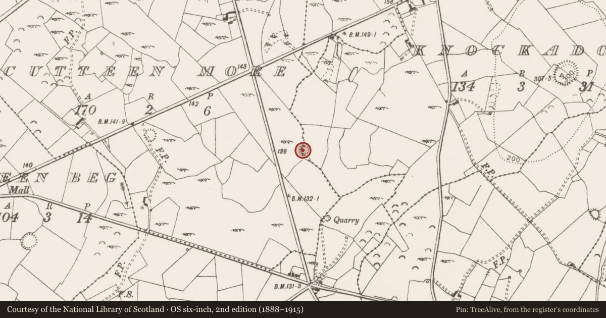 Ordnance Survey six-inch map, 2nd edition (1888–1915) covering the location of Enclosure, Knockadoon, Cutteen More, County Clare, with a pin at the register's coordinates