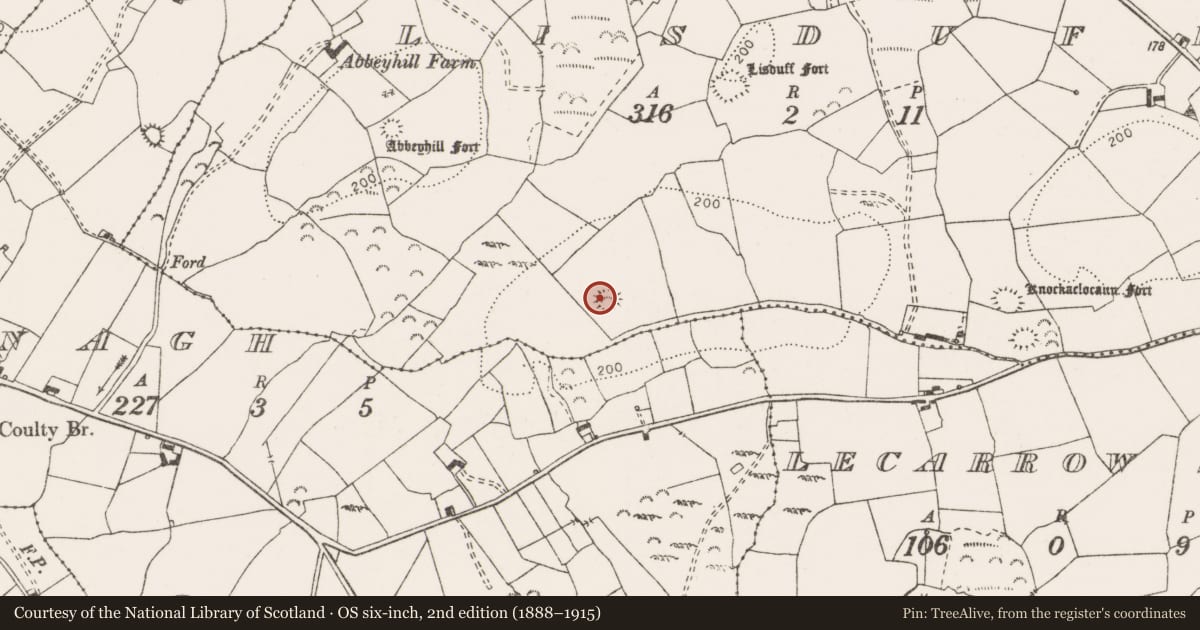 Ordnance Survey six-inch map, 2nd edition (1888–1915) covering the location of Enclosure, Lisduff, County Clare, with a pin at the register's coordinates