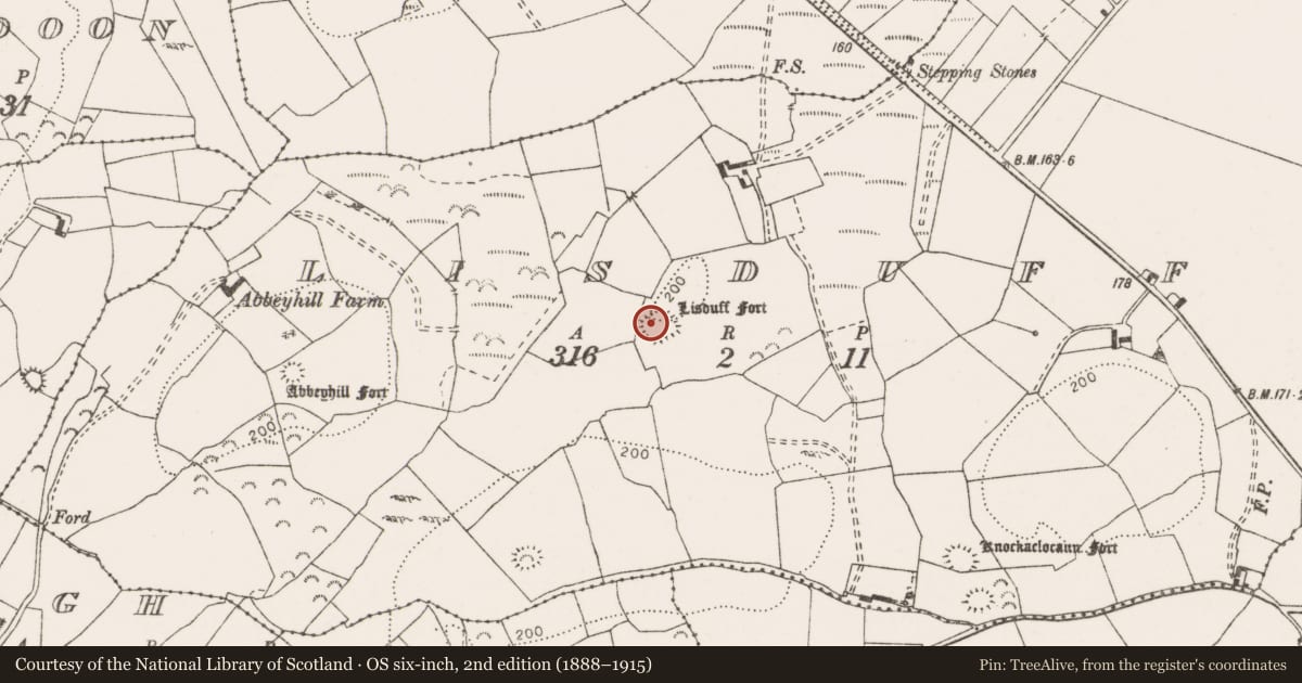 Ordnance Survey six-inch map, 2nd edition (1888–1915) covering the location of Ringfort - rath, Lisduff, County Clare, with a pin at the register's coordinates