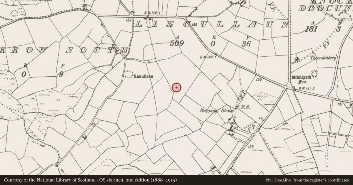 Ordnance Survey six-inch map, 2nd edition (1888–1915) covering the location of Enclosure, Liscullaun, County Clare, with a pin at the register's coordinates