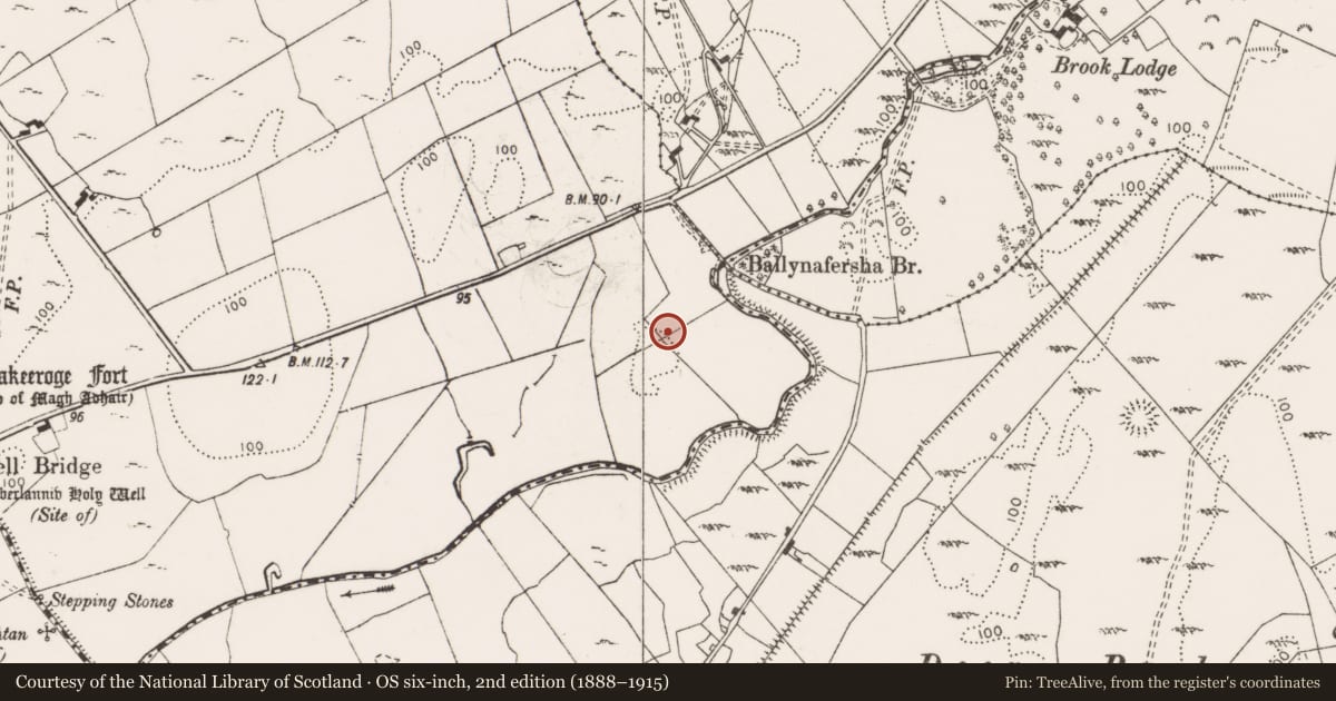 Ordnance Survey six-inch map, 2nd edition (1888–1915) covering the location of Enclosure, Toonagh, County Clare, with a pin at the register's coordinates