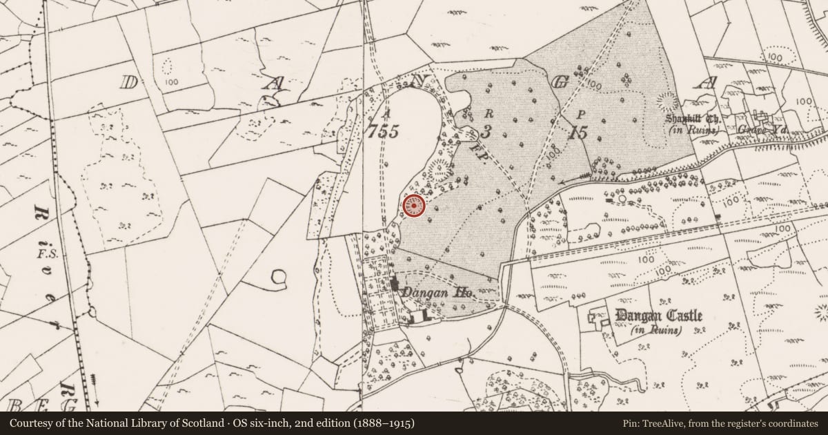 Ordnance Survey six-inch map, 2nd edition (1888–1915) covering the location of Ringfort - cashel, Dangan, County Clare, with a pin at the register's coordinates