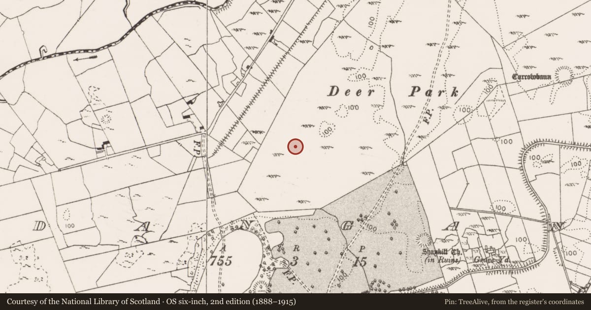 Ordnance Survey six-inch map, 2nd edition (1888–1915) covering the location of Enclosure, Dangan, County Clare, with a pin at the register's coordinates