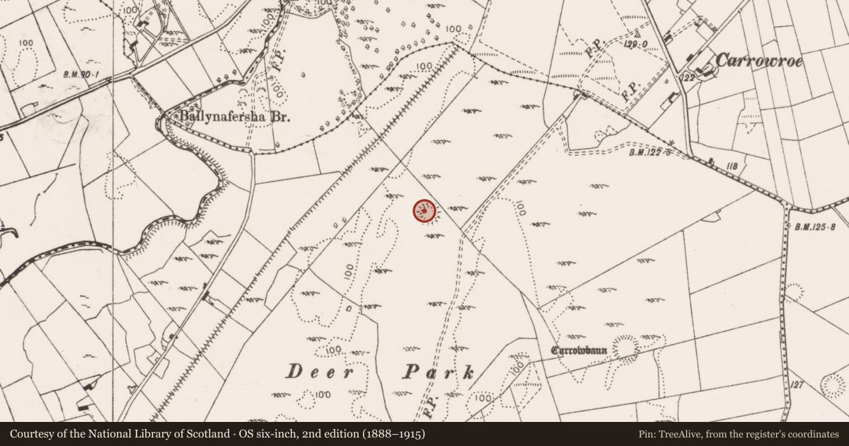 Ordnance Survey six-inch map, 2nd edition (1888–1915) covering the location of Ringfort - cashel, Dangan, County Clare, with a pin at the register's coordinates