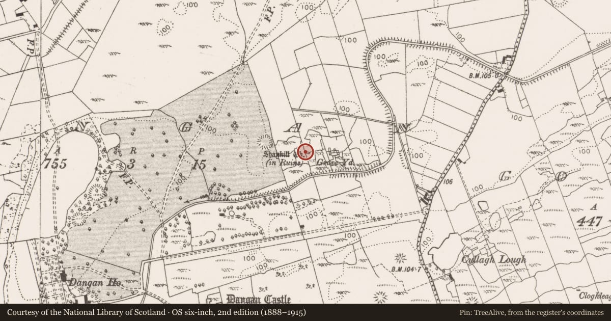 Ordnance Survey six-inch map, 2nd edition (1888–1915) covering the location of Church, Dangan, County Clare, with a pin at the register's coordinates