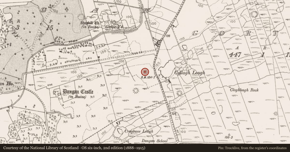 Ordnance Survey six-inch map, 2nd edition (1888–1915) covering the location of Ringfort - cashel, Dangan, County Clare, with a pin at the register's coordinates