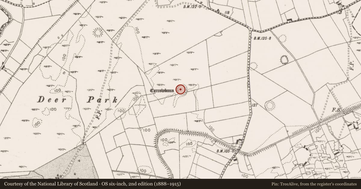 Ordnance Survey six-inch map, 2nd edition (1888–1915) covering the location of Enclosure, Dangan, County Clare, with a pin at the register's coordinates
